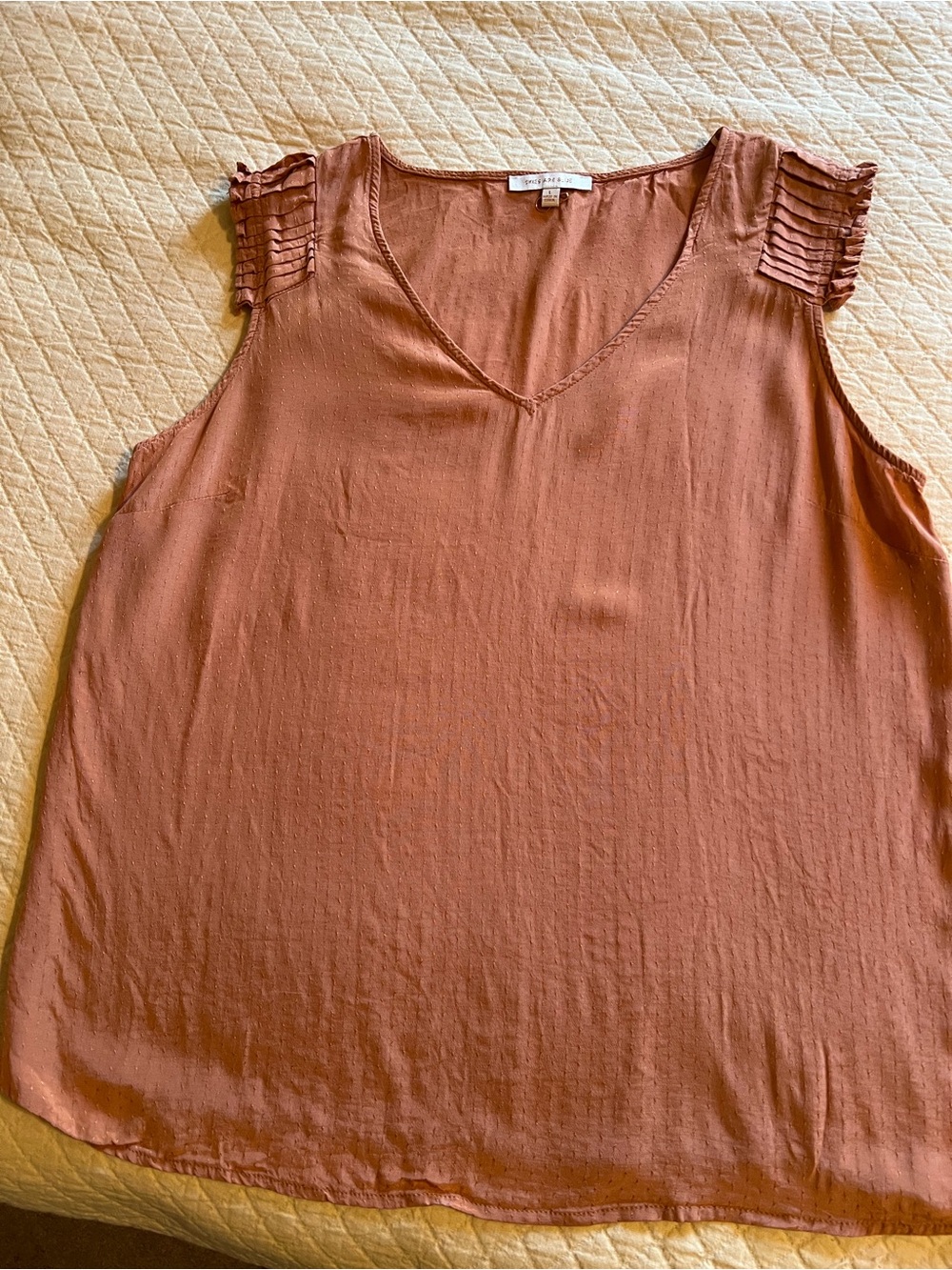 Skies Are Blue Sleeveless V-Neck Camisole in Rust